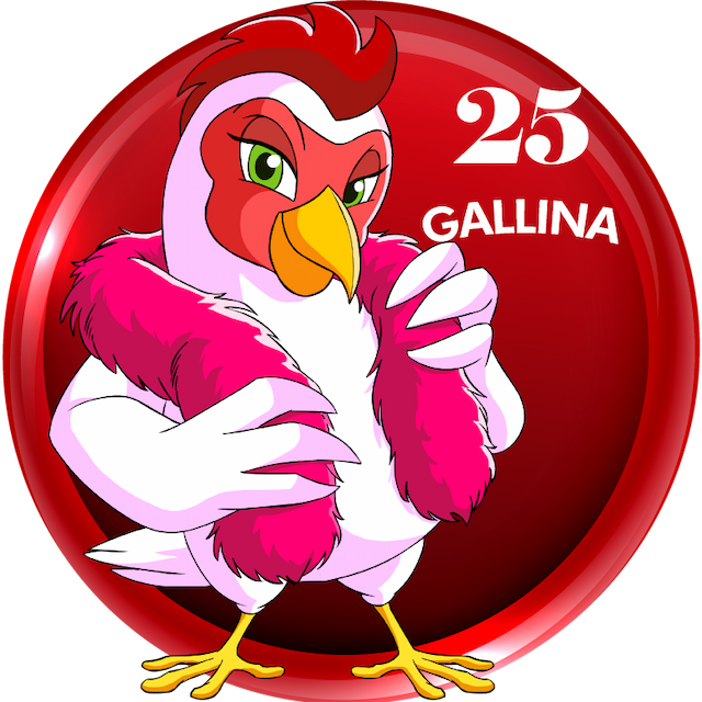 25-GALLINA